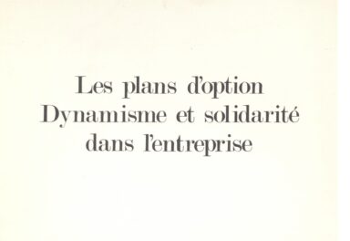 Couverture Les plans d'option