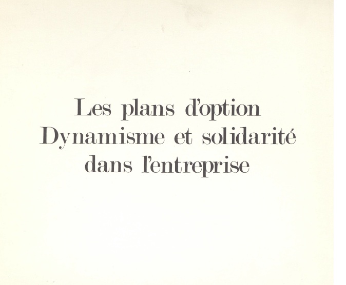 Couverture Les plans d'option